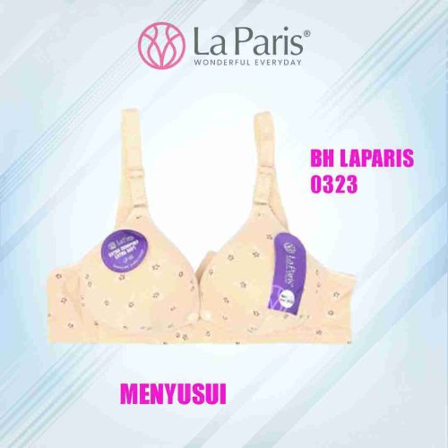 BH LAPARIS 0323 Hak 3 menyusui